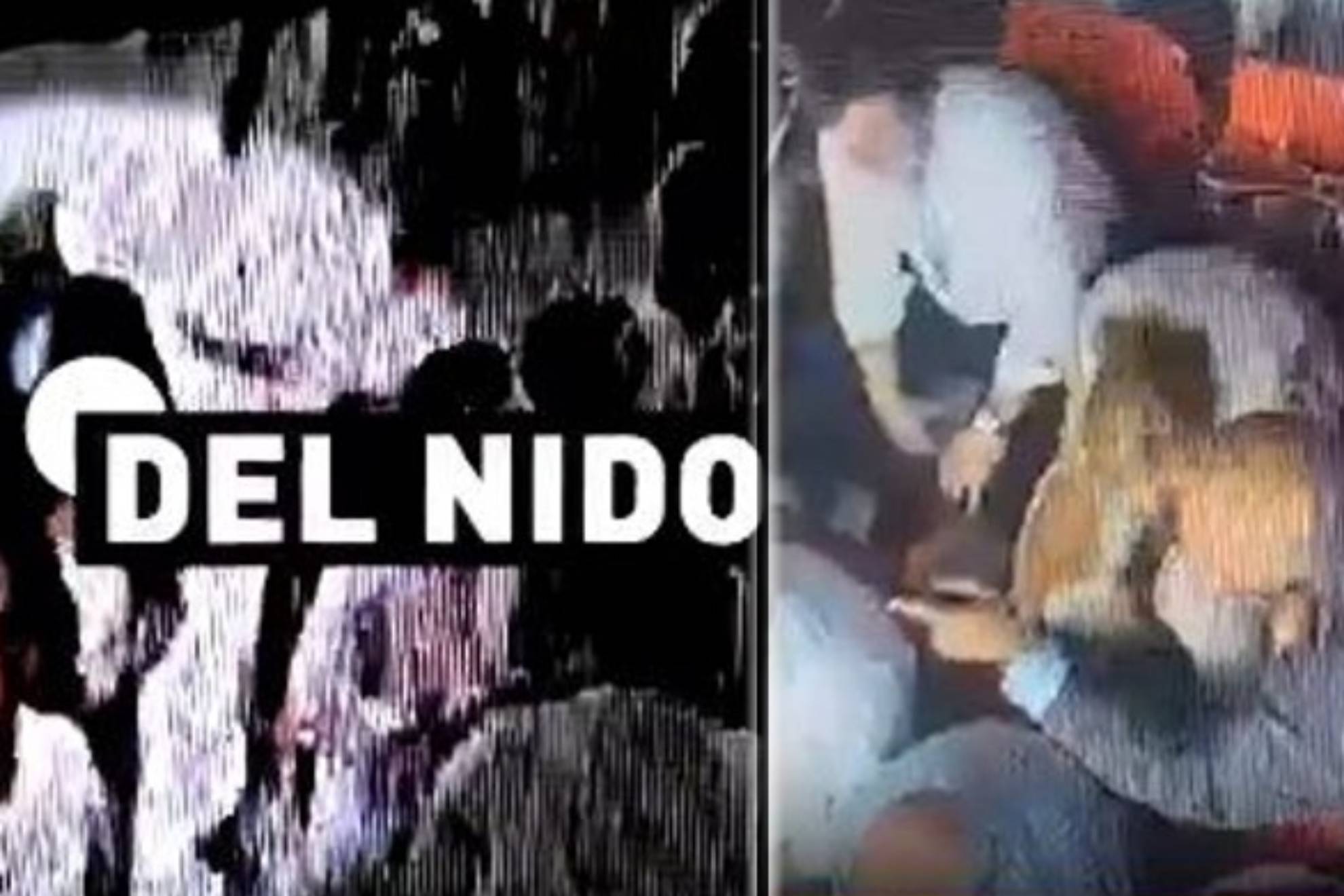 旋转往往不 旋转往往不