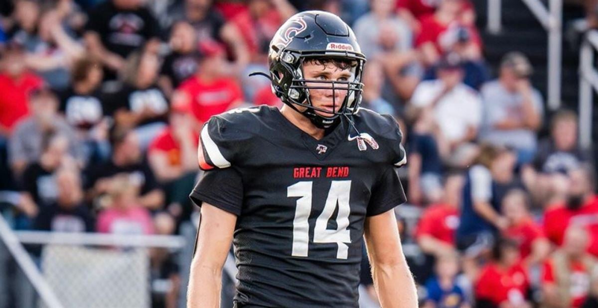 饰对回归的 饰对回归的